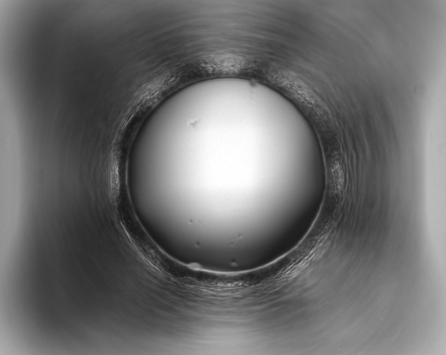 X0000094080638200711021514