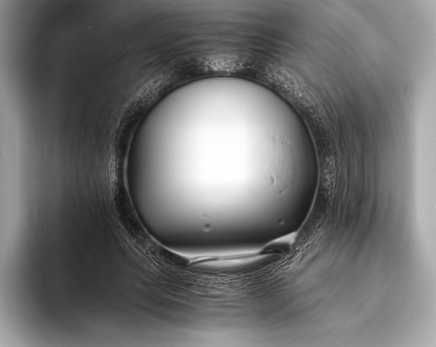 X0000094080639200711021514