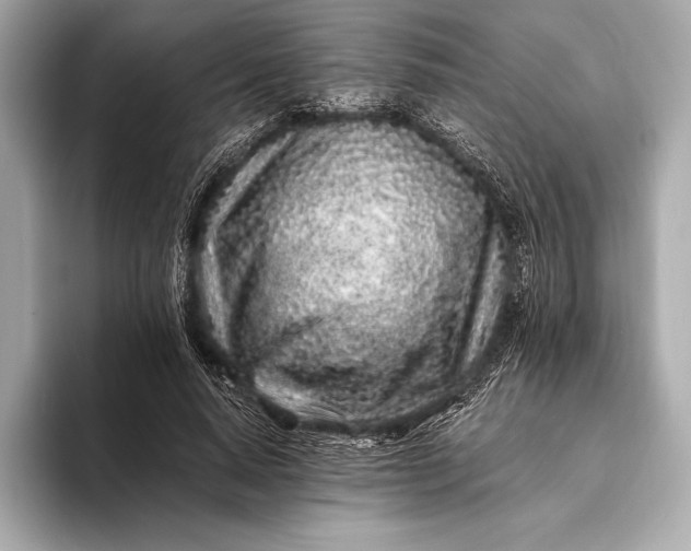 X0000094080640200711021514