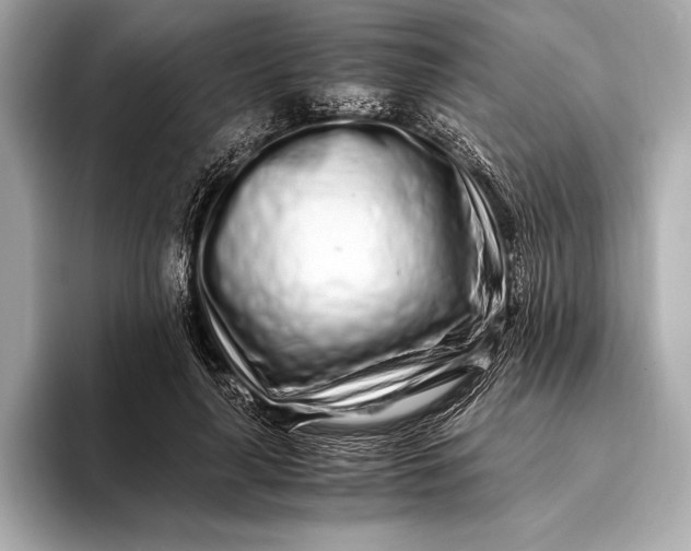 X0000094080643200711021514