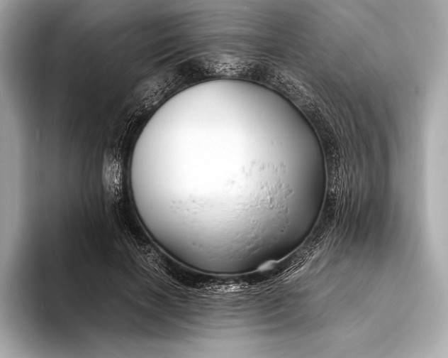 X0000094080646200711021514