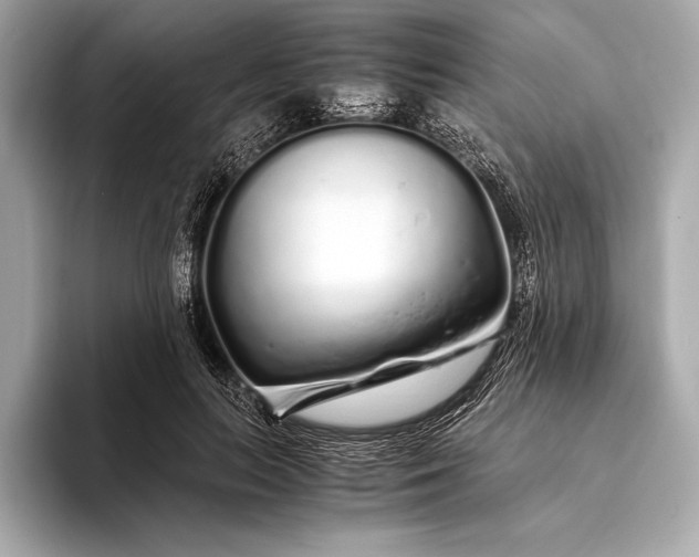 X0000094080647200711021514