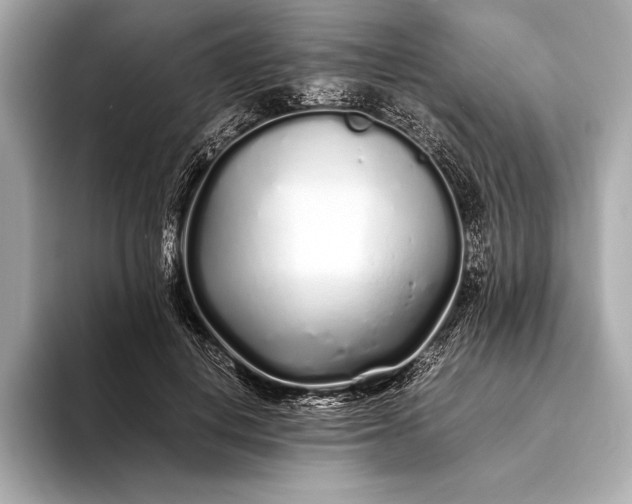 X0000094080648200711021514