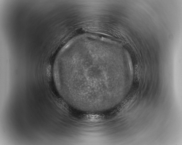 X0000094080650200711021514