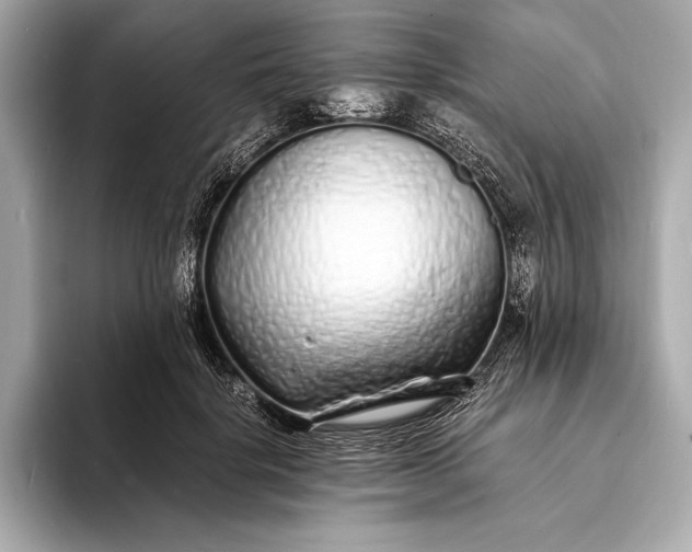 X0000094080652200711021514