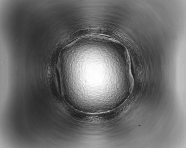 X0000094080654200711021514