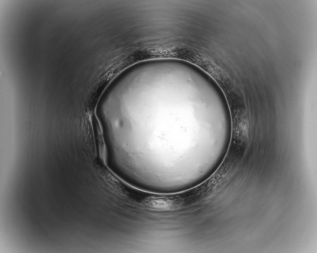 X0000094080658200711021514