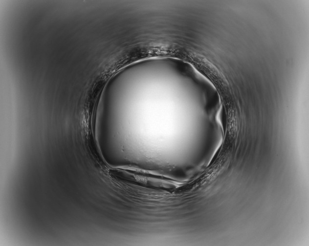 X0000094080661200711021514