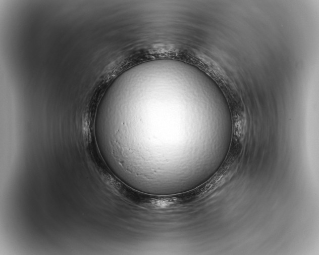 X0000094080662200711021514