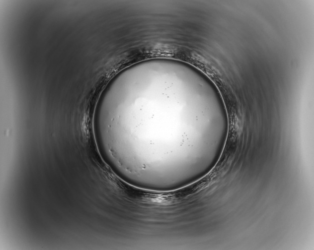 X0000094080663200711021514