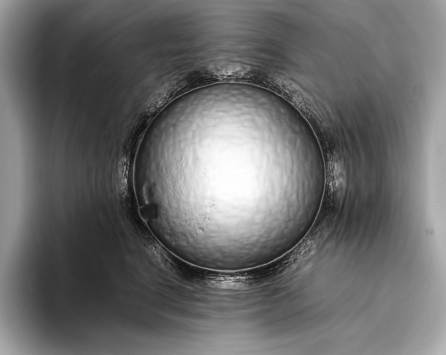 X0000094080664200711021514