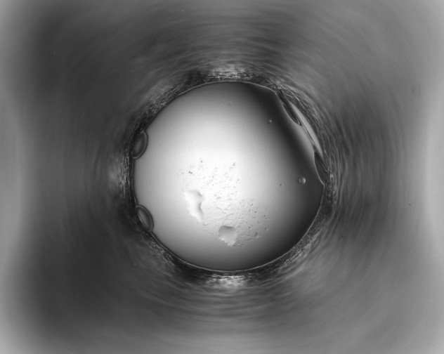 X0000094080665200711021514