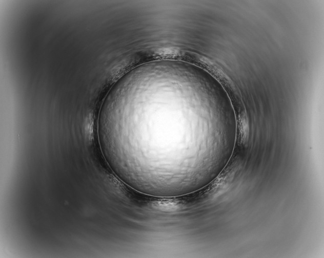 X0000094080668200711021514