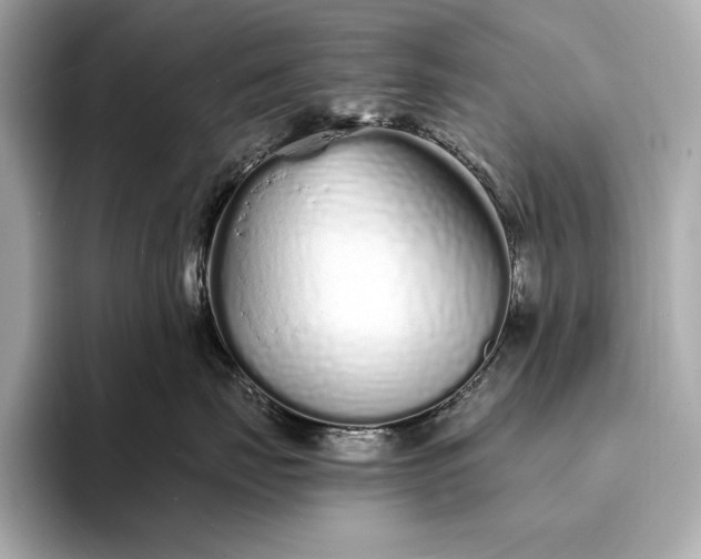 X0000094080671200711021514