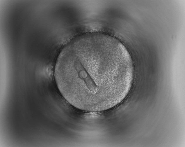 X0000094080672200711021514