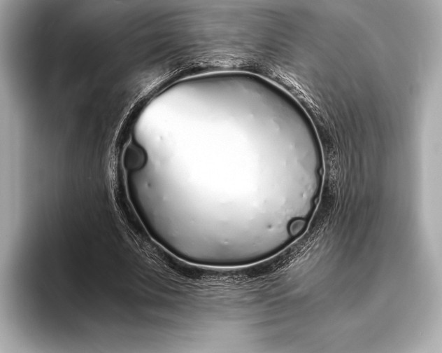 X0000094080679200711021513