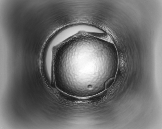 X0000094080680200711021513