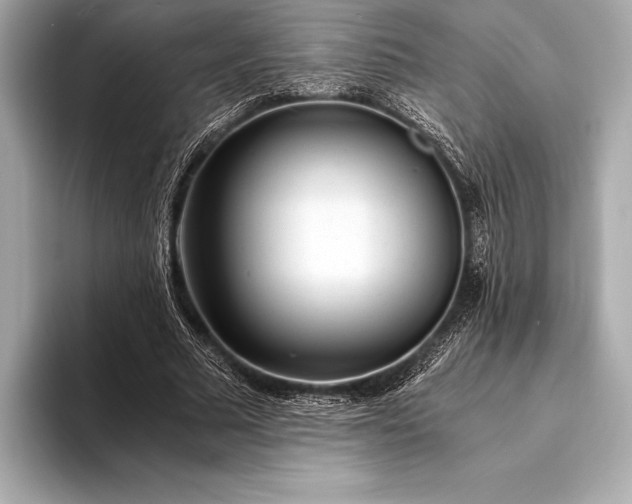 X0000094080681200711021513