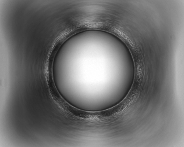 X0000094080682200711021513