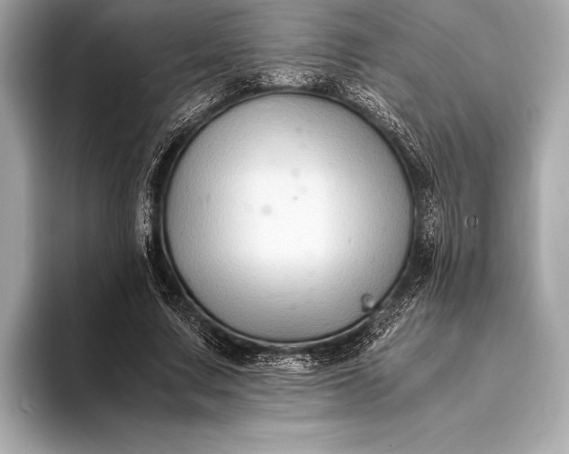 X0000094080683200711021513