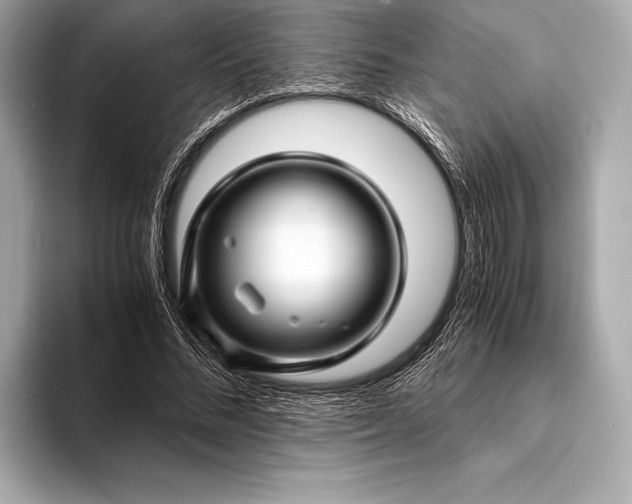 X0000094080684200711021513