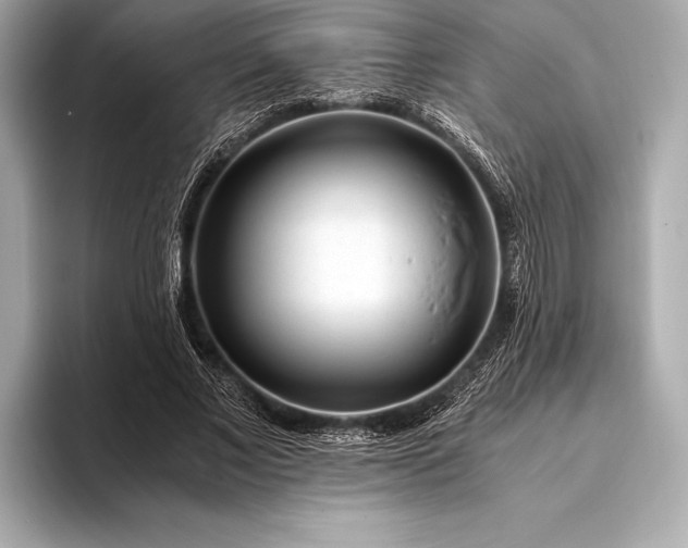 X0000094080685200711021513