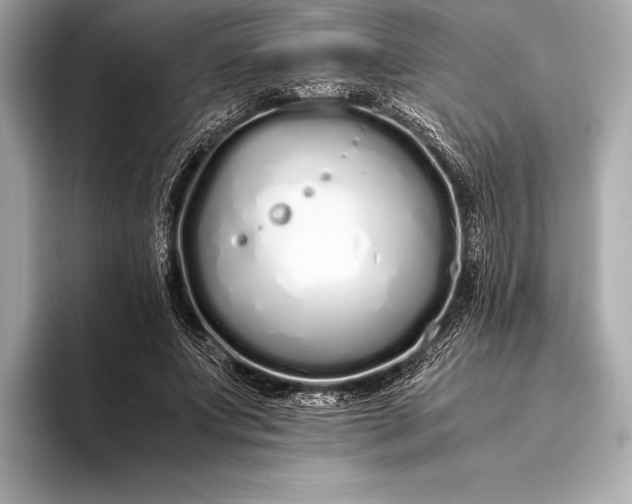 X0000094080687200711021513