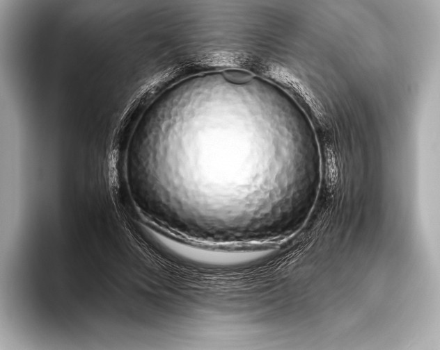 X0000094080688200711021513