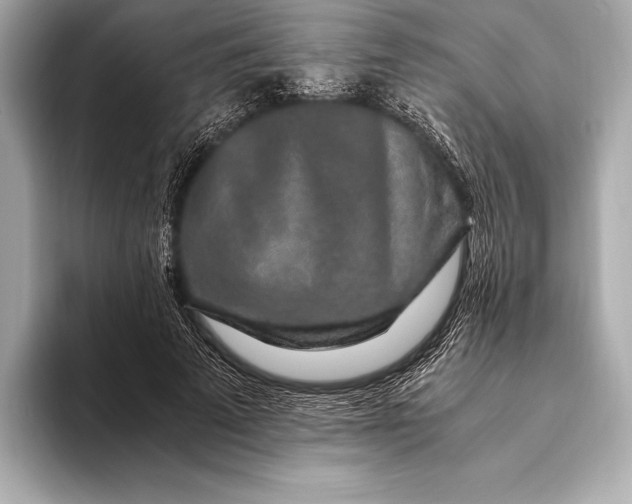 X0000094080689200711021513