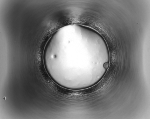 X0000094080691200711021513