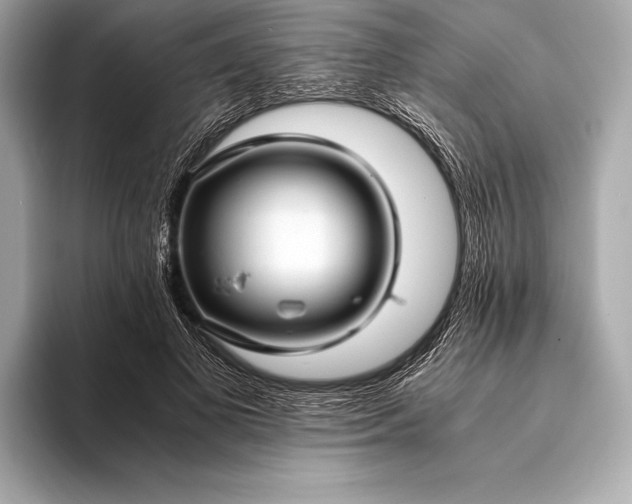 X0000094080693200711021513