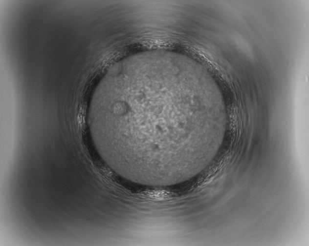 X0000094080695200711021513