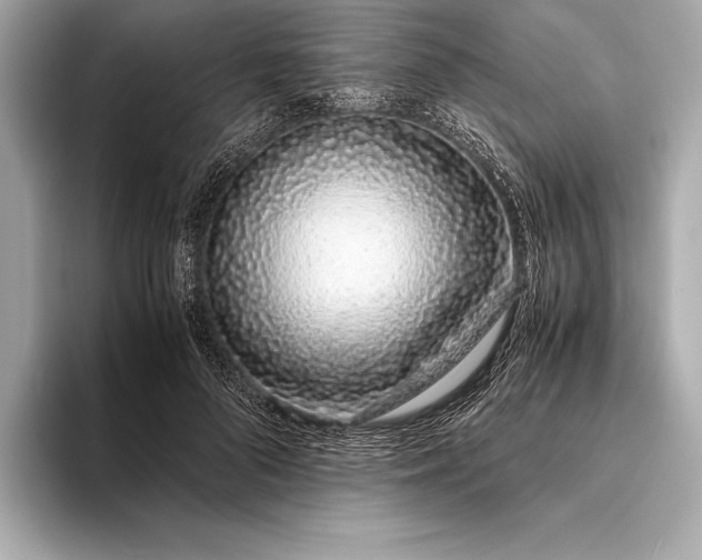 X0000094080696200711021513