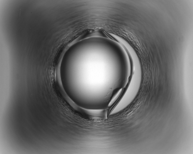 X0000094080697200711021513