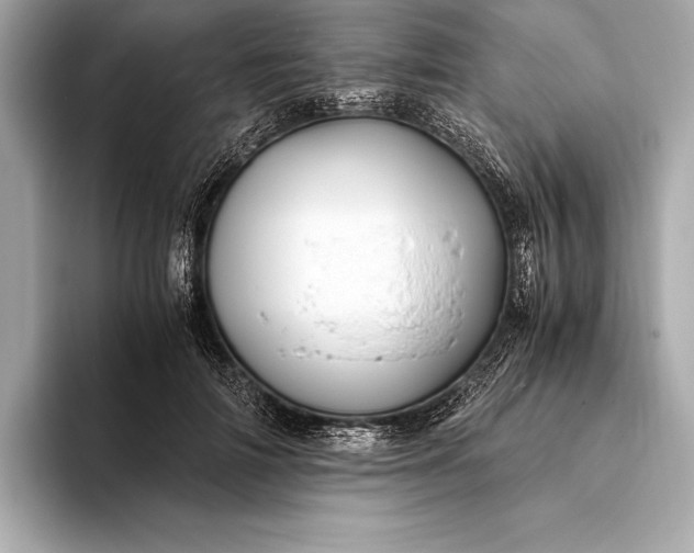 X0000094080698200711021513