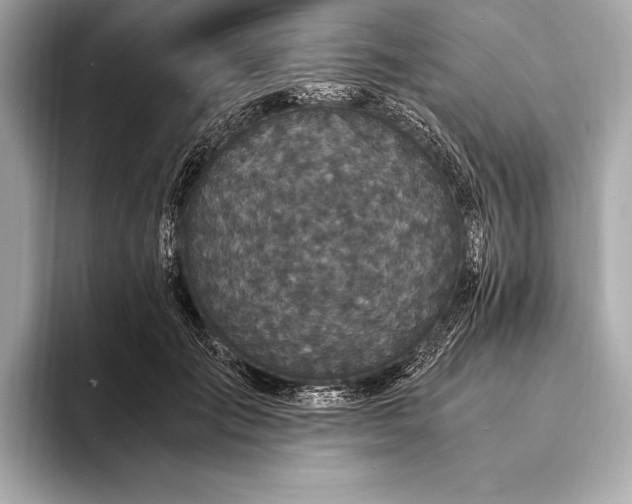 X0000094080701200711021513