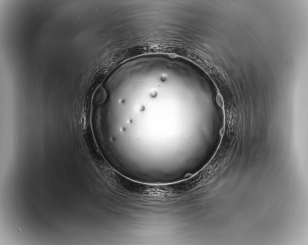 X0000094080703200711021513