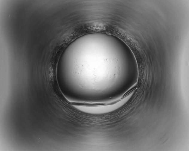 X0000094080704200711021513