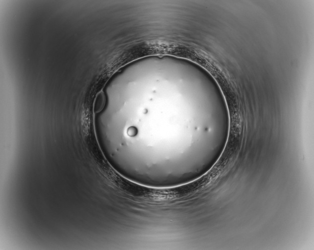 X0000094080707200711021513