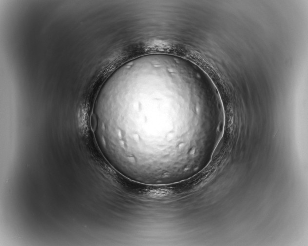 X0000094080708200711021513