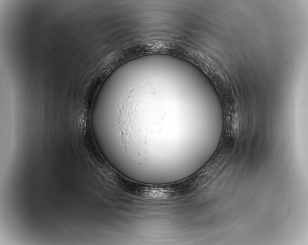 X0000094080710200711021513