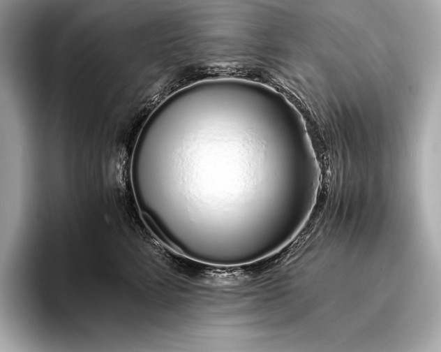 X0000094080712200711021513