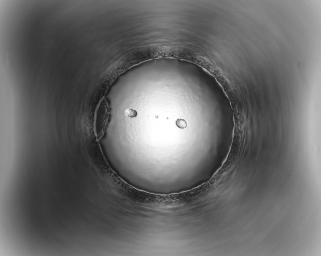 X0000094080716200711021513