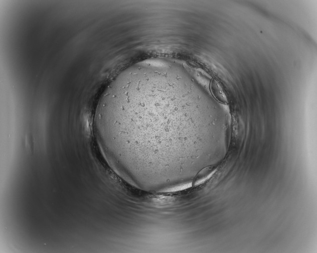 X0000094080718200711021513