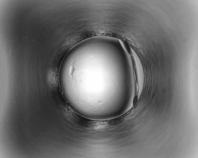 X0000094080719200711021513