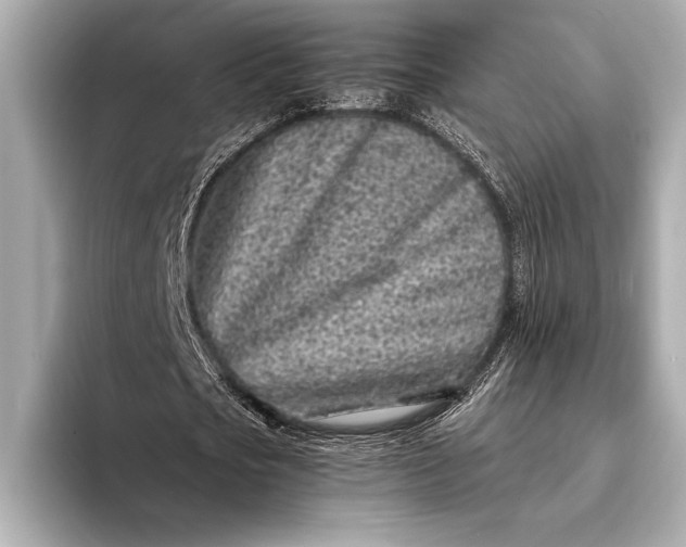 X0000094080721200711021512