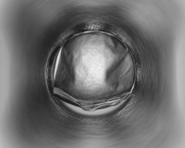 X0000094080722200711021512