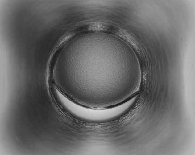 X0000094080724200711021512