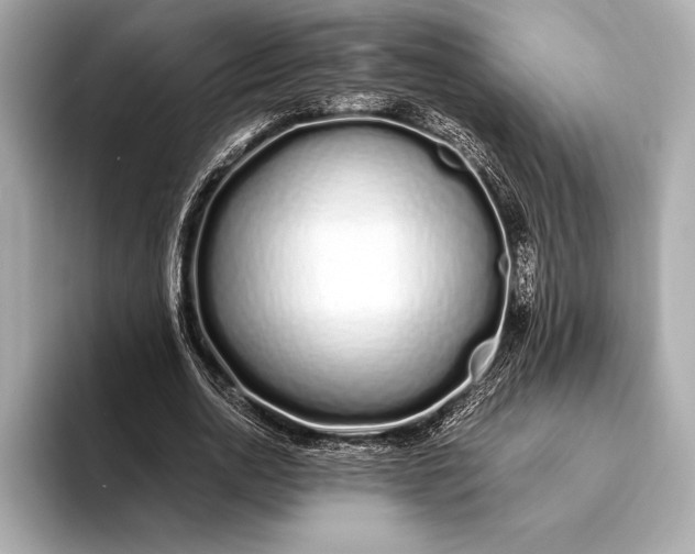 X0000094080726200711021513