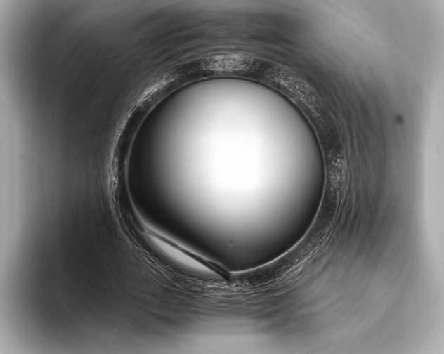 X0000094080727200711021513